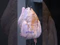 Turn-key Turkey Recipe from Eastwood - Car Guy Thanksgiving