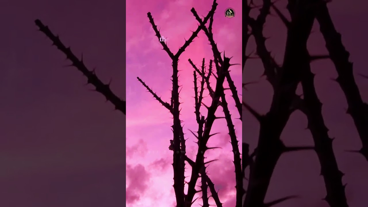 Courage to Challenge the Crown 