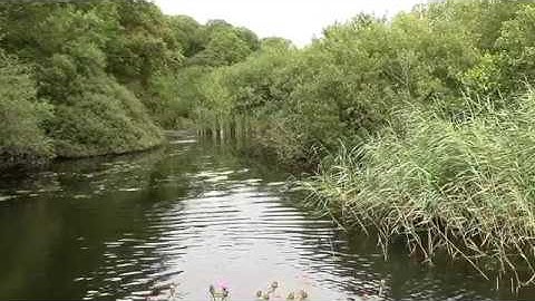 Deleuze for the Desperate #11: refrain