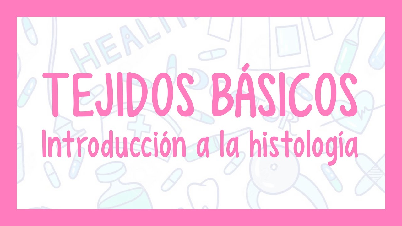 TEJIDOS BÁSICOS | ¡Fácil explicación! (Histología)