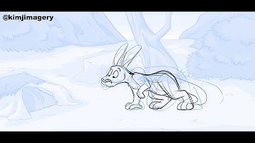 Roo and Wombat - Rough Animation