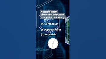 Unlocking Memory: The Hippocampus #sciencefather  #Hippocampus