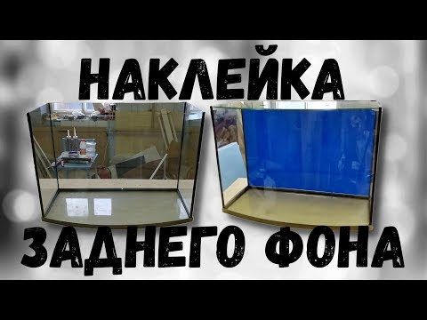 Видео: Как да залепите фона на аквариума