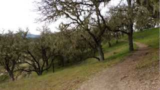 Famous Jim Green Trail Net Worth