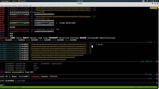 ROP Emporium mit pwntools – 3 write4