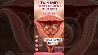 Twin Baby Development in Womb 😍 5 Weeks Pregnancy #twins#pregnancytips#5weeks #womb#twinbabies#short