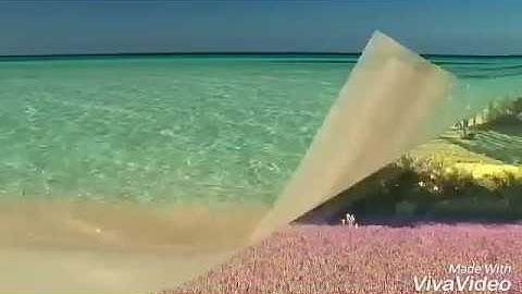 ابراهيم جلاط آيات من الفرقان برواية ورش عن نافع بتوسط البدل