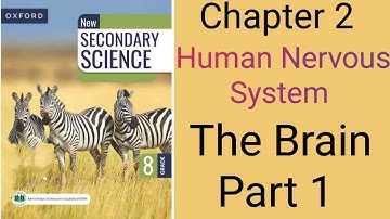 New Edition Secondary Science class 8 Chapter 2 Human Nervous System Topic The Brain