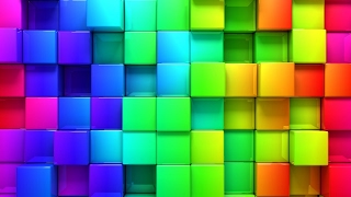 Live Now - Cameleon LiveStream