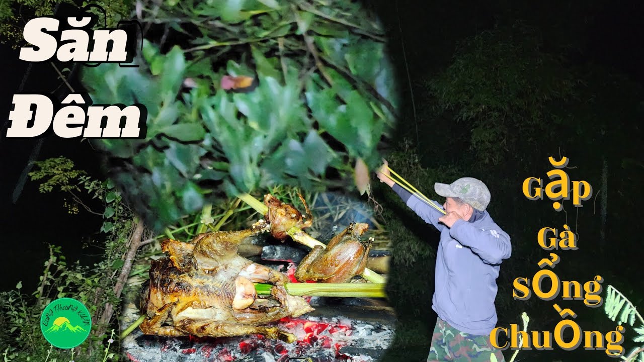 Ночная охота встречает сбежавших кур