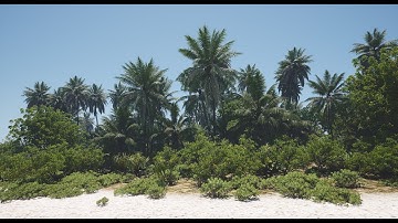 Unreal Engine 5.2 | Unreal Island | Cinematic