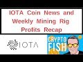 IOTA Coin News and Weekly Mining Rig Profits Recap