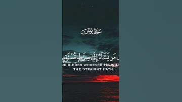 والله يدعو إلى دار السلام ويهدي من يشاء إلى صراط مستقيم | سورة يونس | القارئ أحمد النفيس