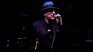 Van Morrison - Baby Please Don&#39;t Go + Roll With the Punches + Days Like This - live - Hollywood Bowl