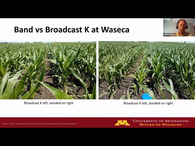 Strategic Farming 2021: Banding vs. broadcasting P & K 