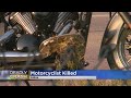 Motorcyclist killed in crash that temporarily closed stretch of Hwy 62 in Edina