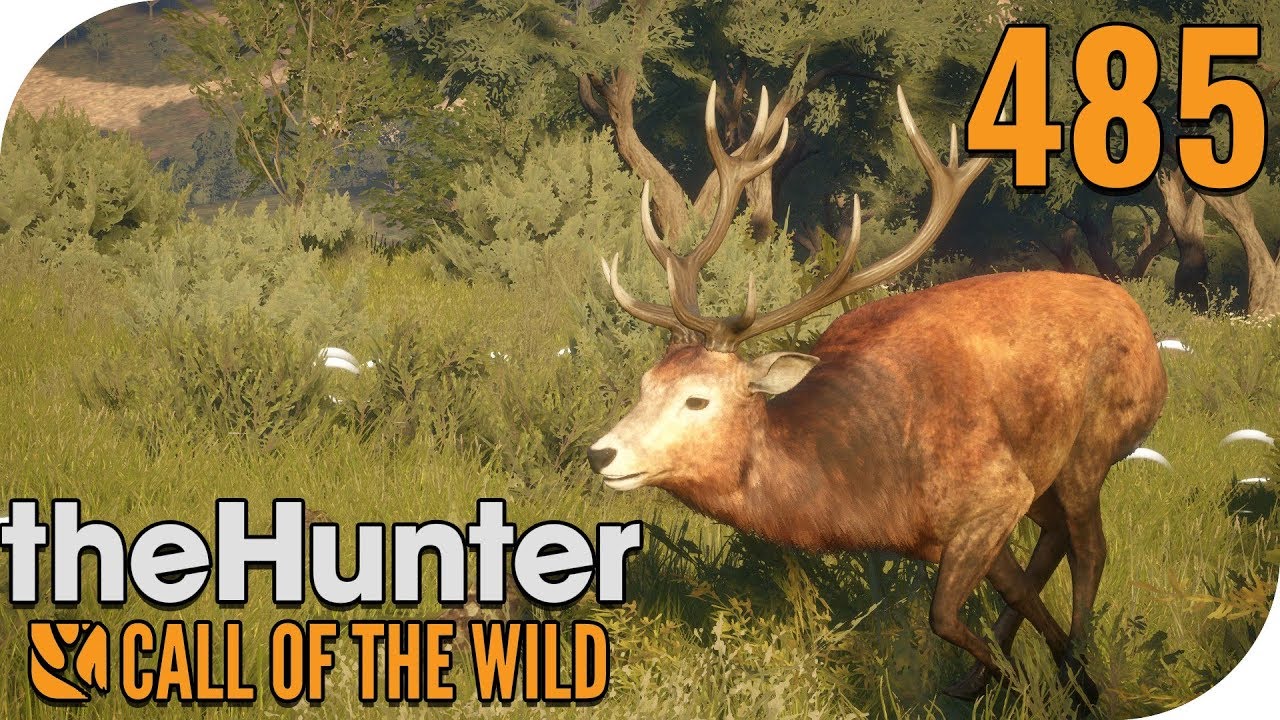 The Hunter Call Of The Wild Tipps Deutsch