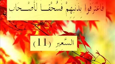 القران الكريم سورة الملك الأية 11.wmv