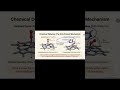 B211/Bioinorganic Chemistry in 60 Seconds | Metal Ions in Life ⚛️ #education #chemistry #science