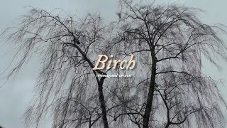 Big Red Machine - Birch (ft. Taylor Swift) (Re-Imagined Version) (Lyric Video)