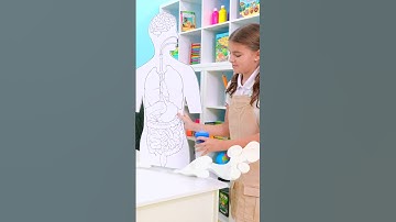 Rich vs Poor Student – Who Wins in Class? 🎓