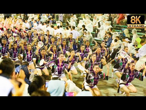 【2023 娯茶平】本場徳島 最高峰の阿波踊り - Awaodori in 8K