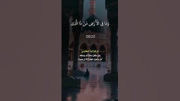 تلاوة بصوت الشيخ زاهد الأركاني - ماتيسر من سورة البقرة (آية الكرسي)