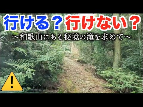 秘瀑 : 台高山脈珠玉の渓 秘瀑 : 台高山脈珠玉の渓 秘瀑 : 台高