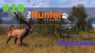 theHunter classic // теперь БЕСПЛАТНО - #10 theHunter classic // теперь БЕСПЛАТНО - #10