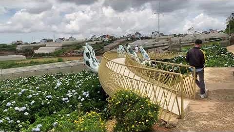 [4K] Toàn cảnh cánh đồng hoa Cẩm Tú Cầu có bàn tay vàng Đà Lạt 2022(SW)