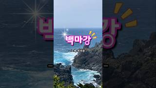 #백마강 #정의송 #트로트인기가요 #트로트 #트로트명곡 #미스터트롯2 #추억소환 #트롯 #kpop