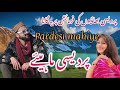 Pardesi mahiye hindko new songs  gojri pahari song anjummukhtarwangathi