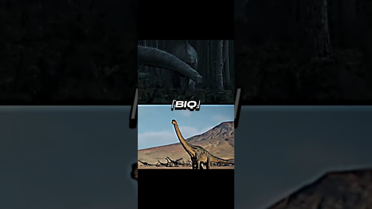 Argentinosaurus vs dreadnoughtus 