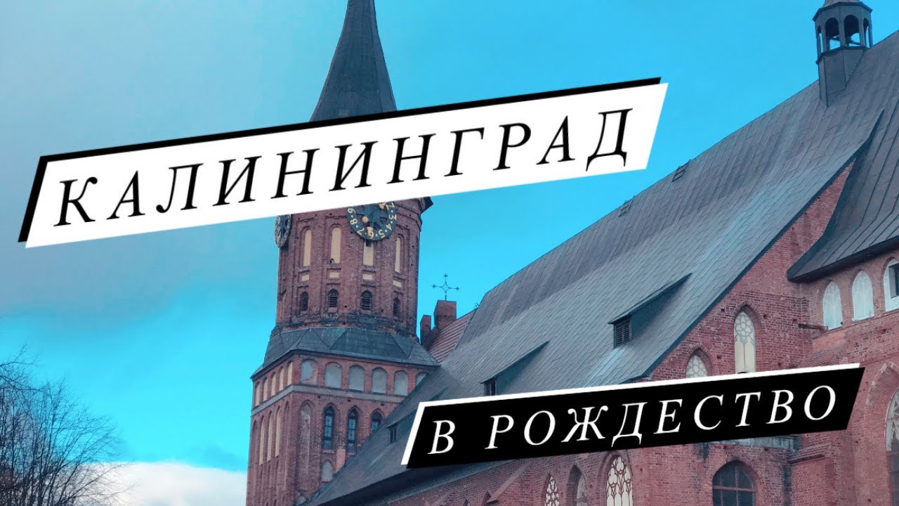 турфирма северо запад пикалево