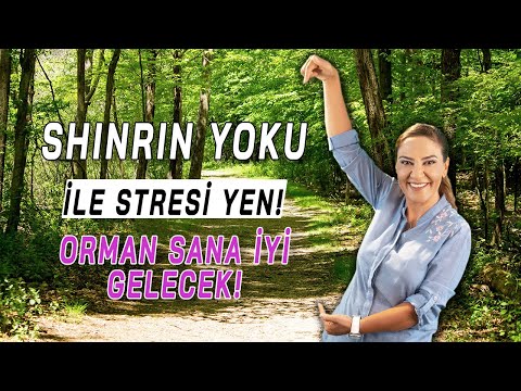 Video: Shinrin-yoku: Japonların Stresten Kurtulma Yöntemi