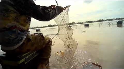 Cá ăn liên tục ,  Chia sẻ đường đi bãi câu tự nhiên sông đồng Nai ,