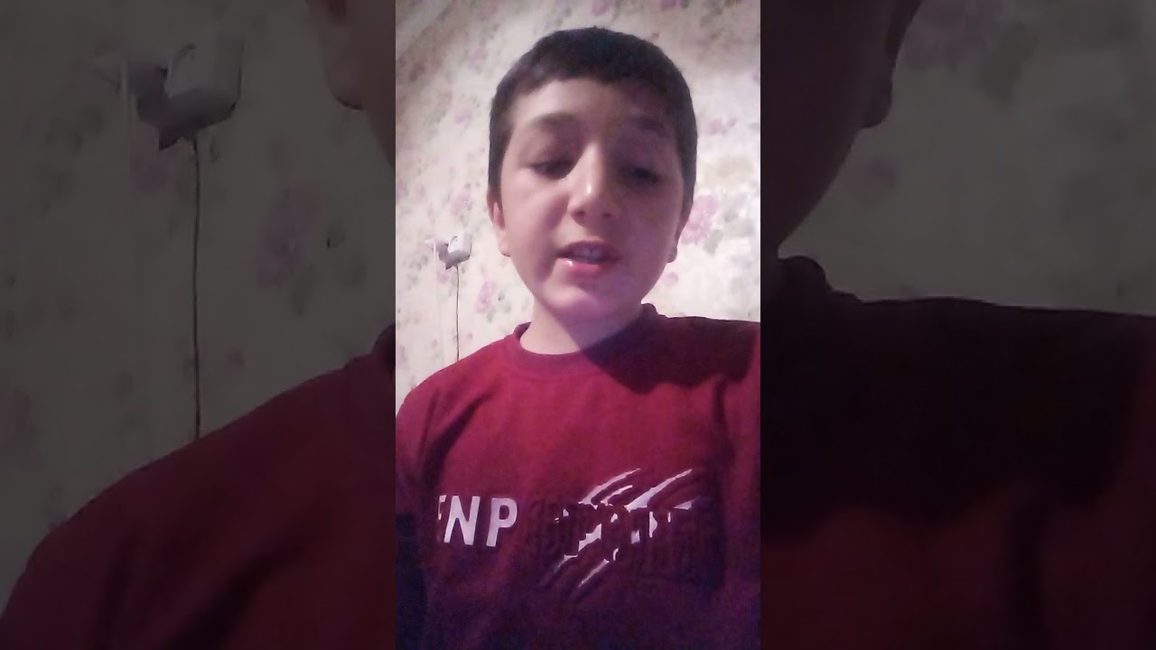 ritmebi #1