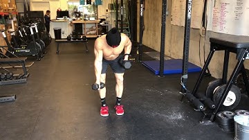 Single Arm Trap 3 Raise with Isometric Dumbbell Row