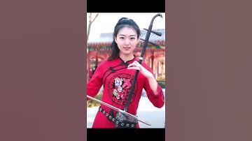 Erhu Instrument 215