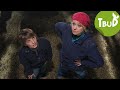 Kleiner Tierfeind (Folge 15) | Tiere bis unters Dach | SWR Kindernetz