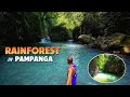 It is rainforest tungab lagoon x nabuclod viewdeck  floridablanca pampanga naturetrip