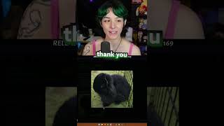 Thats Exactly What I Wanted