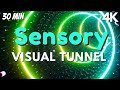 Autism sensory music sensory light tunnel