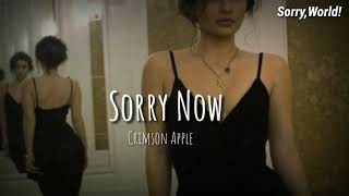 [TRADUÇÃO PT-BR] Crimson Apple - Sorry Now