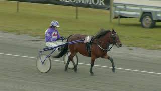 190929 Ponnydag kvallopp 3
