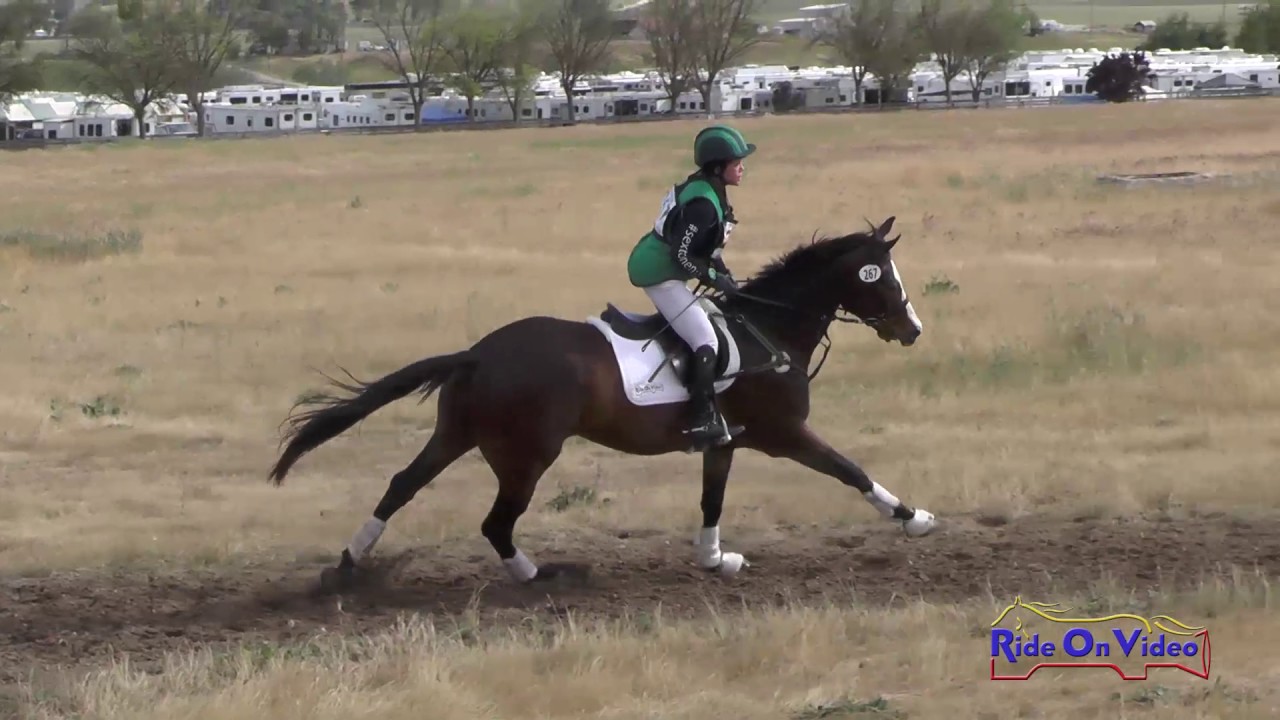 267XC Bunnie Sexton on Phiero SR Training Horse Cross Country Twin