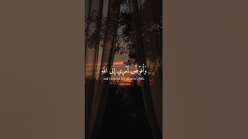 سورة غافر آية ( 44 )