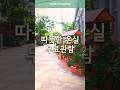 따뜻한 온실 바오밥나무 국립농업박물관 산책하기 좋은곳 #무료관람 #walking #수원가볼만한곳 #아이랑갈만한곳