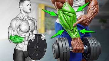 9 BEST Exercises for Bigger Forearms Workout