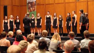Video voorbeeld van "Kammermusikchor Musikgymnasium Dreihackengasse Graz - Wild World"